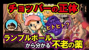 チョッパーの正体  ランブルボールから分かる不老の薬【ワンピース考察】