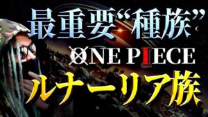 やはりこの種族が最重要でした。【ワンピース ネタバレ】