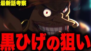 ついに判明した能力者狩りの本当の意味【ワンピース考察】