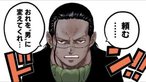 【ワンピース】もうすぐ解明されるクロコダイルの本当の正体(性別）を先に暴いてみた【考察】