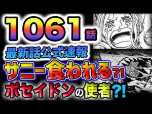 【ワンピース 最新話公式速報】サニー号が食われる？謎の巨大海王類？古代兵器ポセイドンの使者か？(予想妄想)