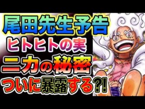 【ワンピース ネタバレ予想】ベガパンクによって悪魔の実の秘密が明かされる？ルフィとチョッパーのヒトヒトの実の秘密が明らかになる？ベガパンクは何をするのか？（予想考察）