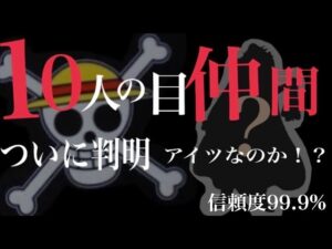 ワンピース考察！！まさかの１０人目の仲間はアイツだった！？