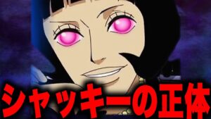 遂に判明したシャッキーの過去がやばい...!!?【ワンピース考察】