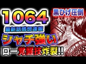 【ワンピース 最新話感想速報】青キジ登場！プリン拉致！ジェルマ66はどうなった？ローVS黒ひげ！ドクQがヤバい！(予想妄想)