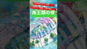 【ONE PIECE FILM REDネタバレ考察】エレジアのライブ会場って実は……【ウタ誕生日おめでとう】