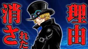 サボ離脱で大幅に戦力ダウンした革命軍に余儀無くされる変化【 ONEPIECE ワンピース 1061話 考察 感想 解説 クマ 幹部】