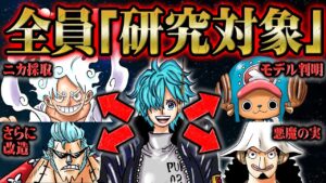 ベガパンクの力でヒトヒトの実の正体が判明！？フランキーとウソップが未来科学で超強化される！【 ONEPIECE ワンピース 1061話 最新話 考察 感想 解説】