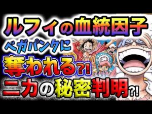 【ワンピース ネタバレ予想】ルフィVSベガパンク！ルフィの血統因子が狙われる？ニカの秘密が明かされる？(予想妄想)