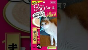 【ネタバレ】ワンピースの正体判明【考察】#shorts #猫動画