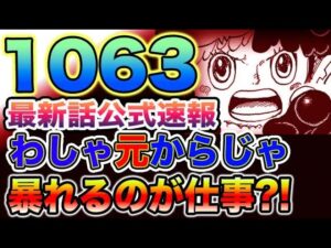 【ワンピース 最新話公式速報】ベガパンク「暴」が意外な行動！ジンベエに失礼な発言！暴れるのが仕事、とは？！（予想考察）