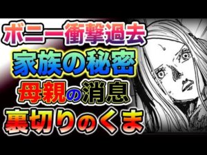 【ワンピース 最新話】ボニー衝撃過去！家族の秘密？母親の消息？裏切りのくま？！（予想考察）