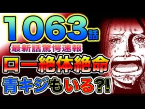 【ワンピース 最新話速報】ローが絶体絶命！恐怖の黒ひげ！青キジもいる？プリンが攫われた！ボニー号泣！（予想考察）