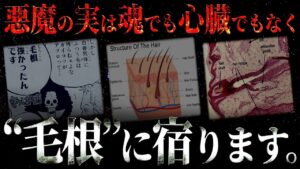 とうとう解明しました。【ワンピース ネタバレ】【ワンピース 考察】