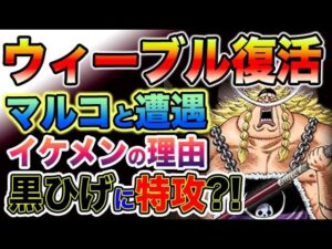 【ワンピース ネタバレ予想】ウィーブルが復活再登場する？ウィーブルは悪役キャラ！ウィーブルとマルコの出会い？！（予想考察）