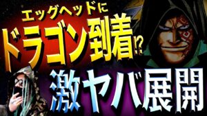 ひと段落しそうにありません。【ワンピース ネタバレ】