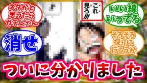 【ワンピース】考察マン『ワンピースの正体がわかった』これに対する読者の反応【ひとつなぎの大秘宝】