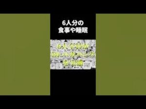 ボニーに激似!!?ベガパンク06「欲」がヤバすぎた...【ワンピース考察 まとめ ネタバレ】
