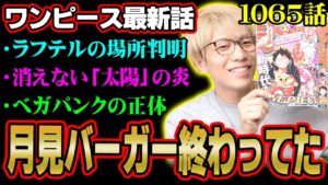 ベガパンクの装置にラフテルの場所の秘密が隠れていた！最新話のとんでもない情報に気付いてる！？【 ワンピース 1065話 最新話 考察 】 ※ジャンプ ネタバレ 注意