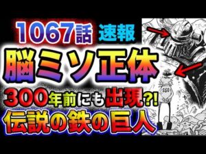 【ワンピース 最新話衝撃速報】ベガパンク脳ミソ本体判明！伝説の鉄の巨人は300年前にも現れて、あの王国を潰した？！(予想妄想)