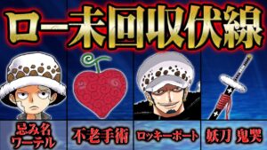 主人公級のポテンシャル！Dの一族にしてオペオペの能力を持つローに関する未解決の伏線・謎【 ONEPIECE ワンピース 考察 感想 解説】