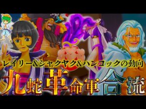黒ひげ＆海軍から"メロメロの実"を守れ...レイリー＆シャクヤク＆ハンコックの今後を徹底考察...※考察&ネタバレ注意【ONE PIECE 1067話】【やまちゃん。】