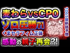 【ワンピース ネタバレ予想】麦わらの一味 VS CP－０！くまセラフィムは爆弾か？感動の親子の再会？(予想妄想)