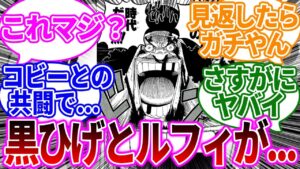 ルフィと黒ひげのとんでもない戦いを考察する読者の反応集【ワンピース】