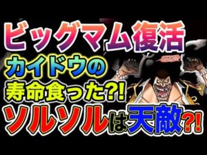 【ワンピース ネタバレ予想】ビッグマムは復活した？カイドウのソウルと共に？ビッグマムが天敵だった？（予想考察）