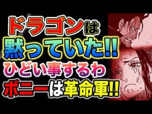 【ワンピース 最新話】ドラゴンは黙っていた！くまの過去が判明？ボニーとベガパンク（予想考察）