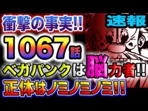 【ワンピース 最新話衝撃速報】いきなり凄いネタバレ！ベガパンクは脳力者！！正体は、ノミノミノミ！！(予想妄想)