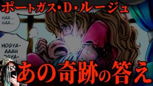 “奇跡の真相”がとうとう明らかに!?【ワンピース ネタバレ】