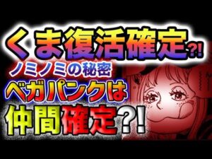 【ワンピース ネタバレ予想】ノミノミの実の秘密がヤバい！くまは復活可能か？ベガパンクが仲間になる？(予想妄想)