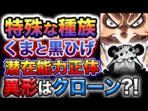 【ワンピース ネタバレ予想】特殊な種族の正体！異形と潜在能力！黒ひげとくま！セラフィムとくま！(予想妄想)