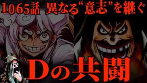 どうやらガチな模様【ワンピース ネタバレ】