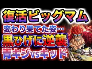 【ワンピース 1068話予想】ビッグマムが衝撃の姿で復活する？ビッグマム海賊団が黒ひげに大逆襲？青キジVSキッド？(予想妄想)