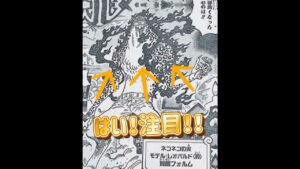 1069話ルッチ覚醒！！風神か！？【ワンピース考察】