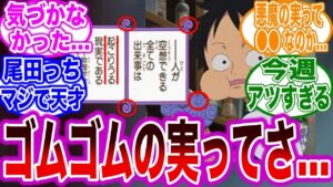 【最新1069話】ついに明かされた20年越しの"とんでもない秘密"に気付いた読者の反応集【ワンピース反応集】ネタバレ