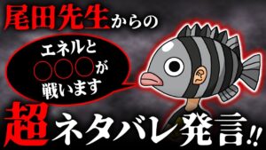 ジャンプフェスタで尾田先生からの特大新情報！今後の展開が丸わかり！？【 ワンピース 最新 1070話 考察 伏線 】※ ネタバレ 注意