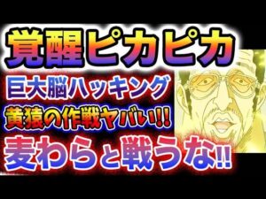 【ワンピース 1070話最新予想】麦わらのルフィと戦うな！サカズキの真の目的とは？覚醒黄猿の作戦がヤバい？(予想妄想)