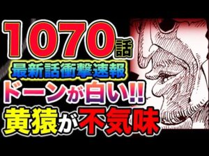 【ワンピース1070話】「最強の人類」MADSのメンバーが判明！白い（ドーン）がヤバい！黄猿の作戦の目的とは？（予想考察）