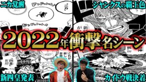 コレ全部今年の出来事！？過去最大の衝撃連発だった2022年名場面ランキング！【 ONEPIECE ワンピース 考察 感想 解説】