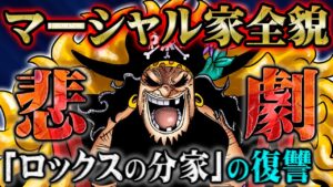ティーチは迫害されたDの一族だった！？家族を失いロックスに救われたマーシャル家の末裔の復讐【 ワンピース スーパーカミキカンデ 考察 】