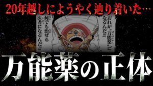 やっと…やっとです。やっとその尻尾を掴みました。【ワンピース ネタバレ】【ワンピース 考察】