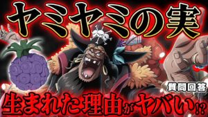 【 ワンピース 】なぜヤミヤミの実は悪魔の実の能力を無効化できるのか…？生まれた理由と関係する？※ジャンプ最新話ネタバレ注意 考察 質問回答