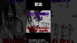 夢の果ての正体【ワンピース考察 まとめ ネタバレ】