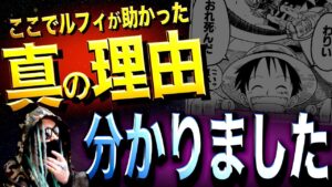 ドラゴンではありません。間違いなく●●の力によるものです。【ワンピース ネタバレ】