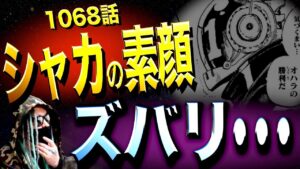 ●ラ●●のクローンです。【ワンピース ネタバレ】