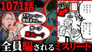 ベガパンクを守る政府の裏切り者！？誰もが騙される驚愕のミスリード！！【 ワンピース 最新 1071話 考察 伏線 】※ ネタバレ 注意