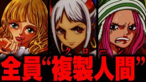 【第1072話】衝撃の事実が判明してしまいました...【ワンピース考察】